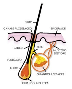 capelli farmacia cannone vomero
