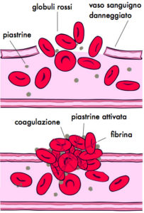 piastrine