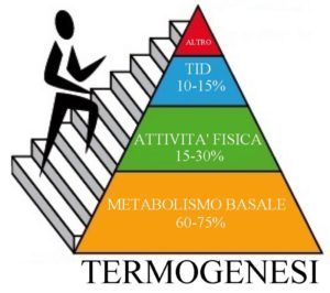termogenesi