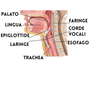 LA GOLA Farmacia Cannone Vomero