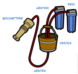 schema della vescica 2