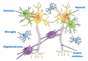 neurone