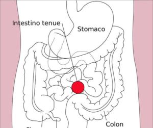 gastroenterite-virus